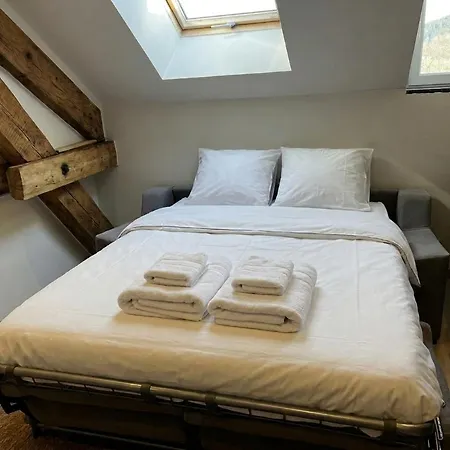 Hyper Centre 6 Pers 2 2 Salle De Bain Apartment Gerardmer