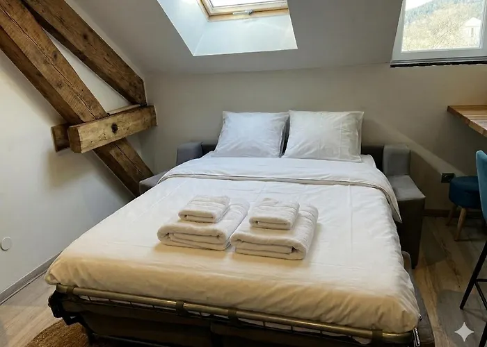 Hyper Centre 6 Pers 2 2 Salle De Bain Apartment Gerardmer